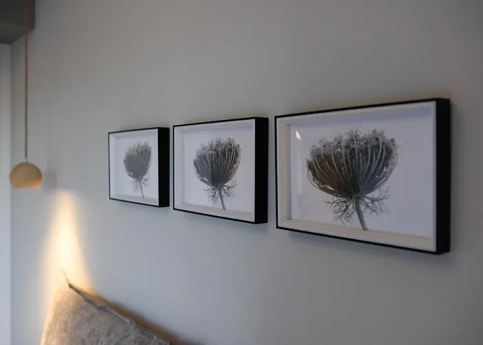 Efilenia Luxury * Kontokali